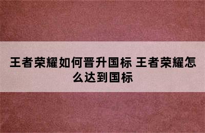 王者荣耀如何晋升国标 王者荣耀怎么达到国标